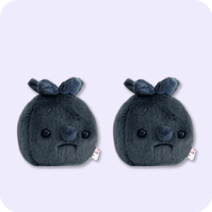 Forgotten Blueberry Plush 2PCS