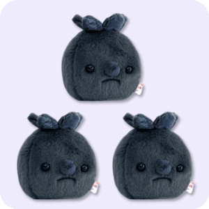 Forgotten Blueberry Plush 3PCS